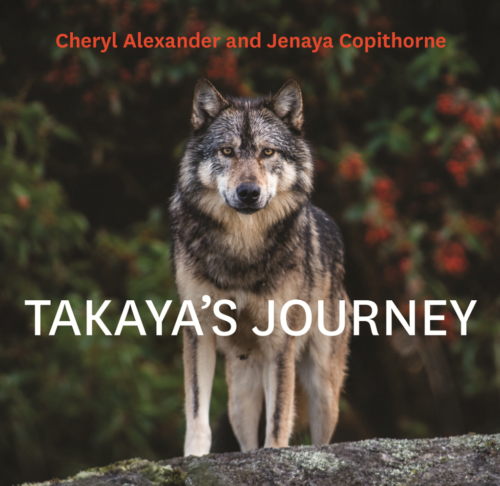 Cover of Takaya's Journey. It contains the title as well as a byline 'Cheryl Alexander and Jenaya Copithorne'.