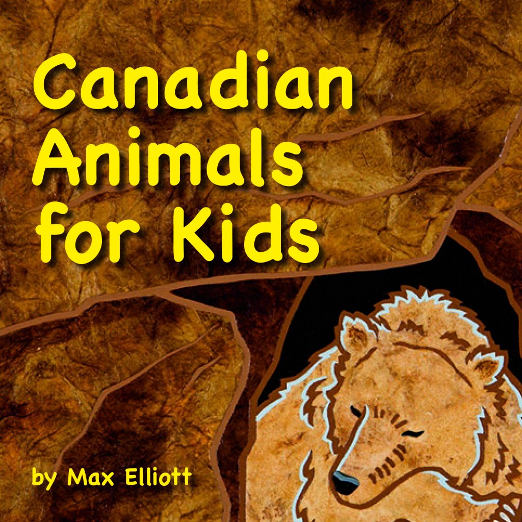 Cover of the book Canadian Animals for Kids.