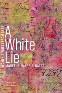 Book cover of A White Lie.