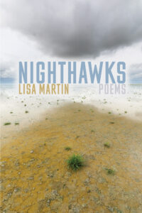 Book Cover of Nighthawks
